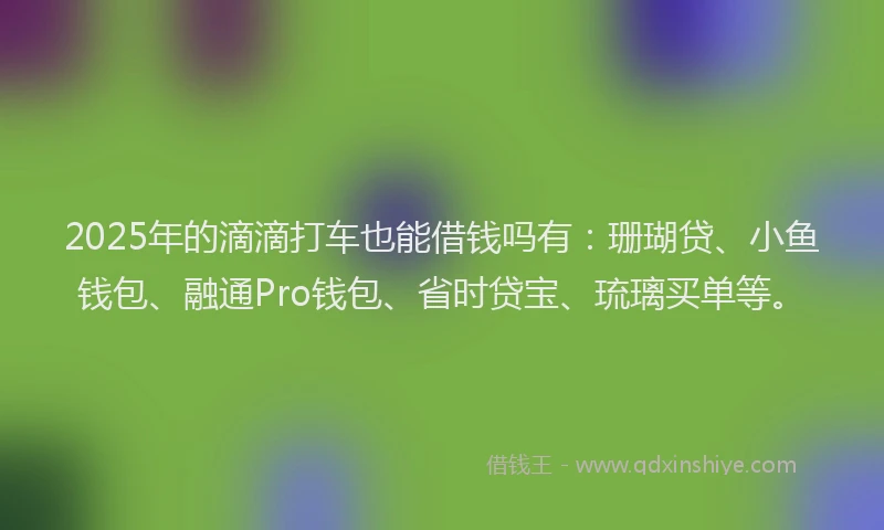 2025年的滴滴打车也能借钱吗有：珊瑚贷、小鱼钱包、融通Pro钱包、省时贷宝、琉璃买单等。