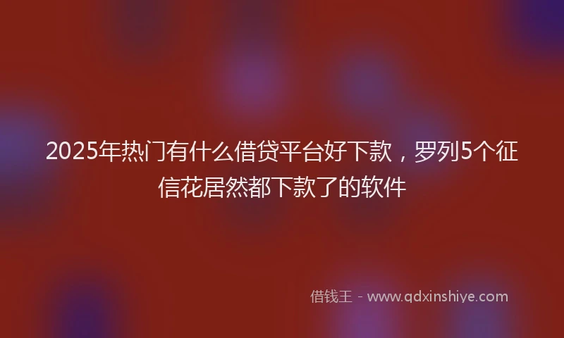 2025年热门有什么借贷平台好下款，罗列5个征信花居然都下款了的软件