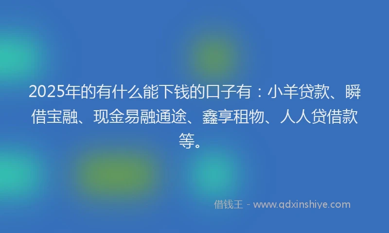 2025年的有什么能下钱的口子有:小羊贷款、瞬借宝融、现金易融通途、鑫享租物、人人贷借款等。