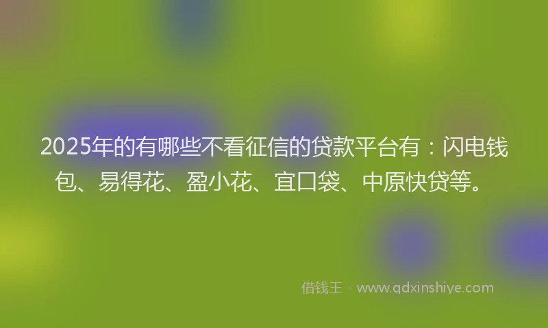 2025年的有哪些不看征信的贷款平台有：闪电钱包、易得花、盈小花、宜口袋、中原快贷等。