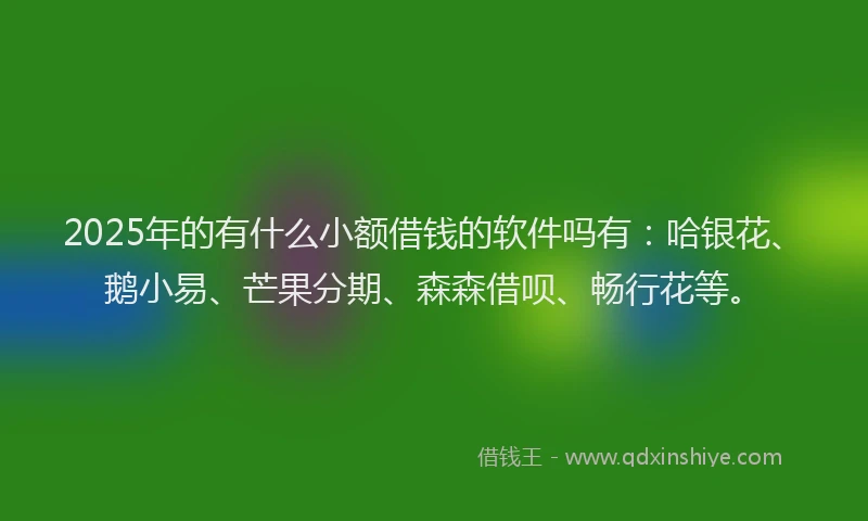 2025年的有什么小额借钱的软件吗有：哈银花、鹅小易、芒果分期、森森借呗、畅行花等。