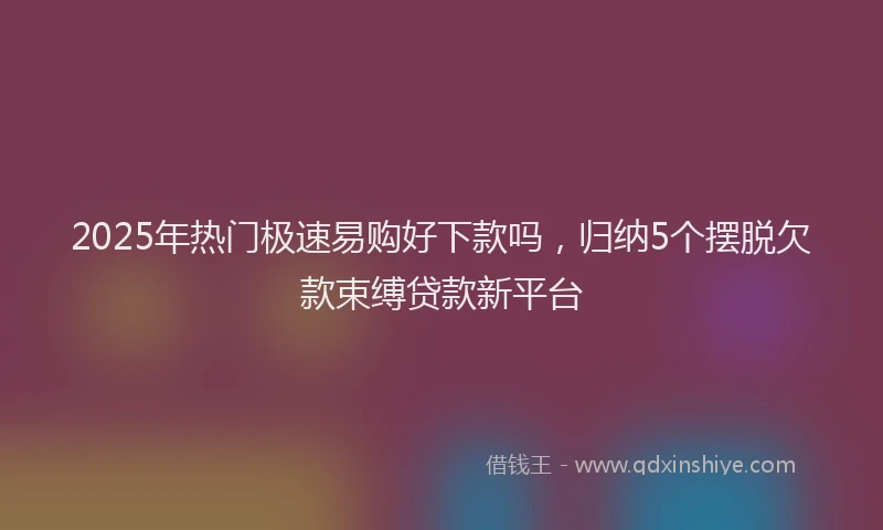 2025年热门极速易购好下款吗，归纳5个摆脱欠款束缚贷款新平台