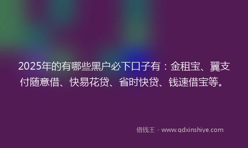 2025年的有哪些黑户必下口子有：金租宝、翼支付随意借、快易花贷、省时快贷、钱速借宝等。
