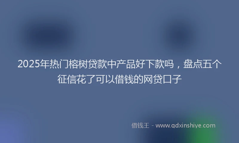 2025年热门榕树贷款中产品好下款吗，盘点五个征信花了可以借钱的网贷口子