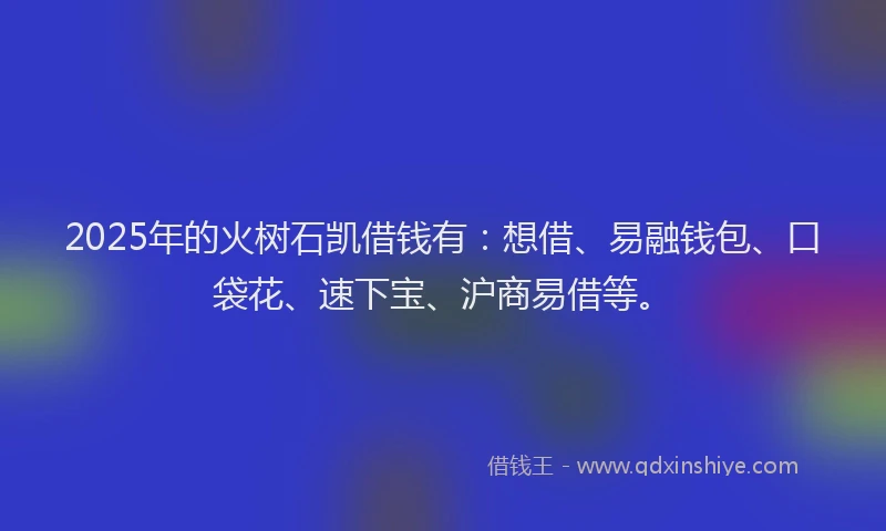 2025年的火树石凯借钱有：想借、易融钱包、口袋花、速下宝、沪商易借等。