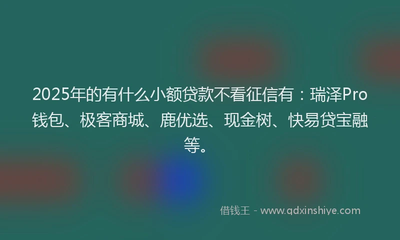 2025年的有什么小额贷款不看征信有:瑞泽Pro钱包、极客商城、鹿优选、现金树、快易贷宝融等。