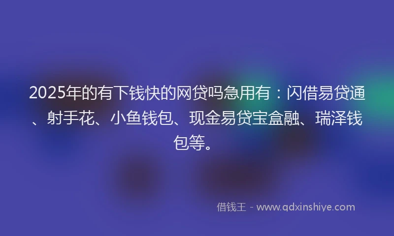 2025年的有下钱快的网贷吗急用有：闪借易贷通、射手花、小鱼钱包、现金易贷宝盒融、瑞泽钱包等。
