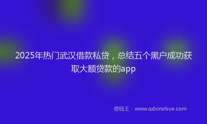 2025年热门武汉借款私贷，总结五个黑户成功获取大额贷款的app