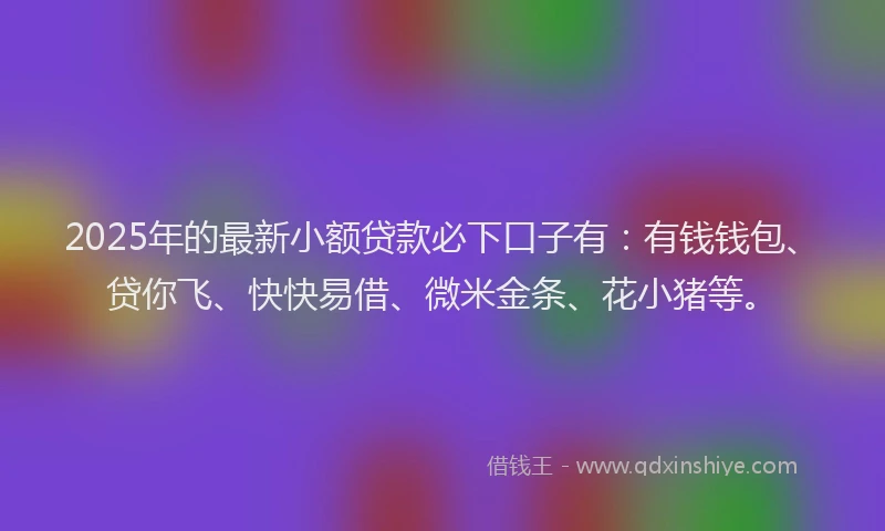 2025年的最新小额贷款必下口子有：有钱钱包、贷你飞、快快易借、微米金条、花小猪等。