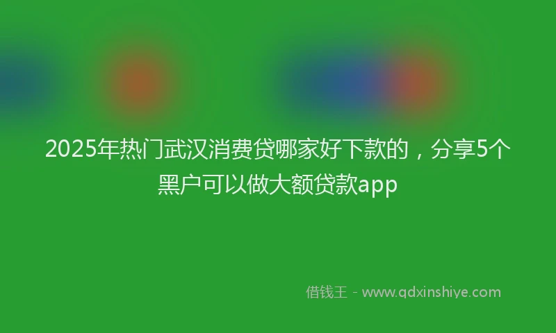 2025年热门武汉消费贷哪家好下款的，分享5个黑户可以做大额贷款app