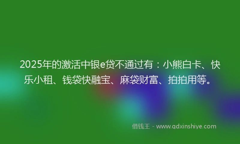 2025年的激活中银e贷不通过有：小熊白卡、快乐小租、钱袋快融宝、麻袋财富、拍拍用等。