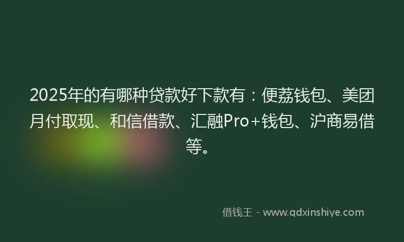 2025年的有哪种贷款好下款有:便荔钱包、美团月付取现、和信借款、汇融Pro+钱包、沪商易借等。