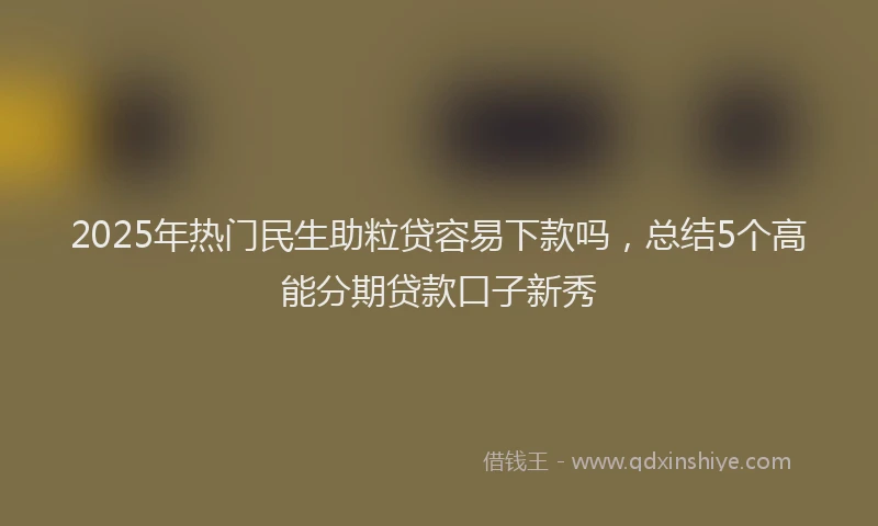 2025年热门民生助粒贷容易下款吗，总结5个高能分期贷款口子新秀