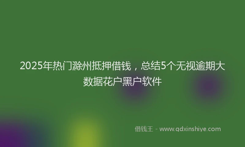 2025年热门滁州抵押借钱,总结5个无视逾期大数据花户黑户软件