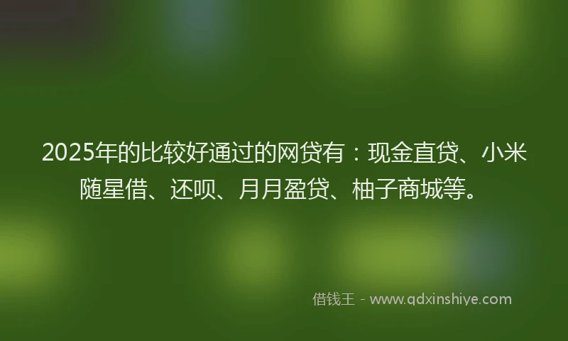 2025年的比较好通过的网贷有:现金直贷、小米随星借、还呗、月月盈贷、柚子商城等。