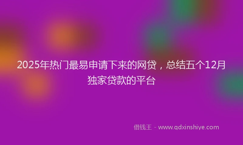 2025年热门最易申请下来的网贷，总结五个12月独家贷款的平台