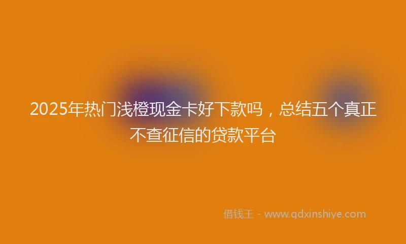 2025年热门浅橙现金卡好下款吗,总结五个真正不查征信的贷款平台