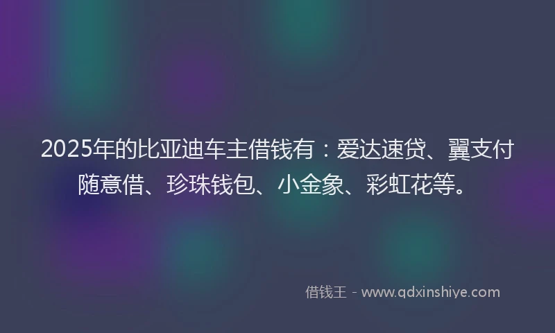 2025年的比亚迪车主借钱有:爱达速贷、翼支付随意借、珍珠钱包、小金象、彩虹花等。