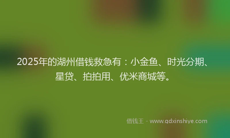 2025年的湖州借钱救急有：小金鱼、时光分期、星贷、拍拍用、优米商城等。