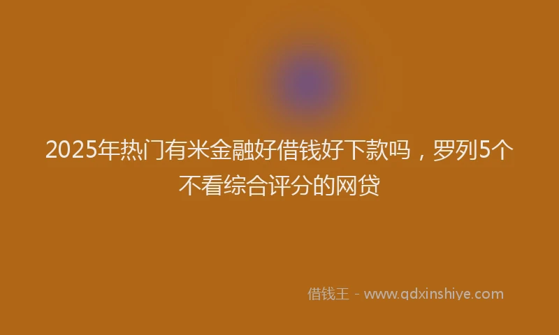 2025年热门有米金融好借钱好下款吗，罗列5个不看综合评分的网贷