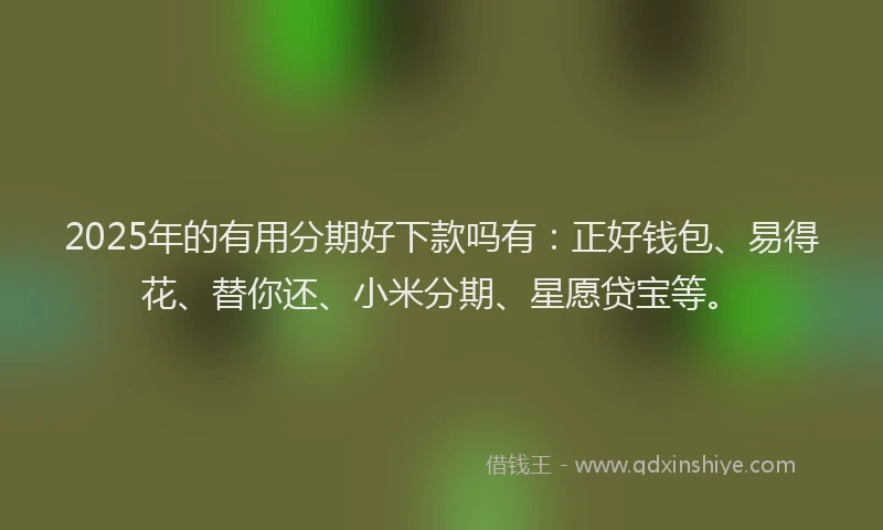 2025年的有用分期好下款吗有：正好钱包、易得花、替你还、小米分期、星愿贷宝等。