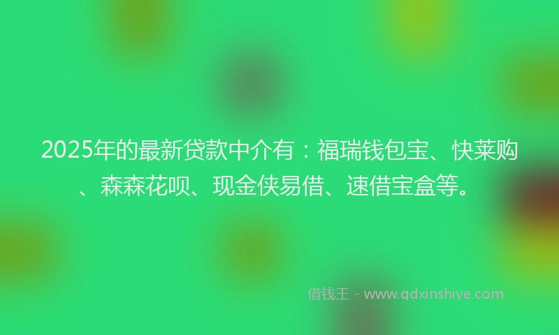 2025年的最新贷款中介有：福瑞钱包宝、快莱购、森森花呗、现金侠易借、速借宝盒等。
