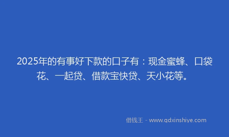 2025年的有事好下款的口子有：现金蜜蜂、口袋花、一起贷、借款宝快贷、天小花等。
