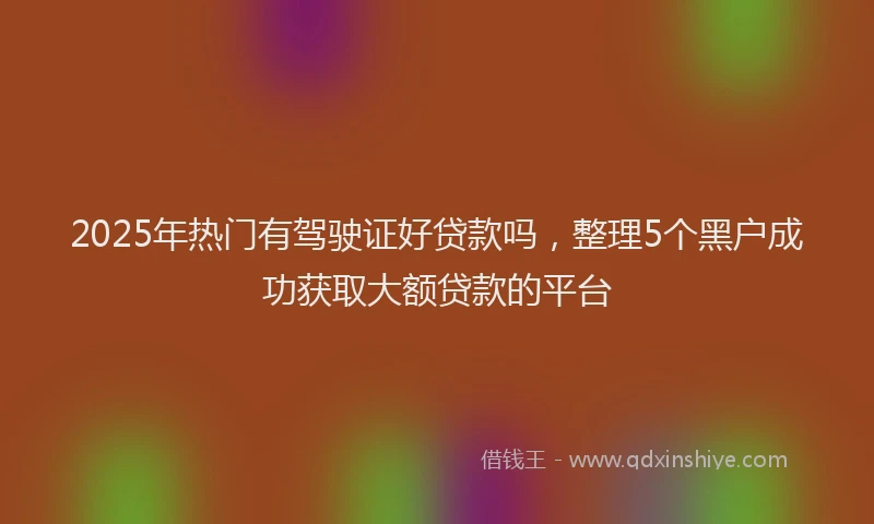 2025年热门有驾驶证好贷款吗，整理5个黑户成功获取大额贷款的平台