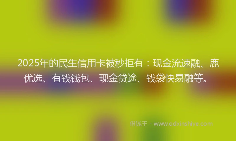2025年的民生信用卡被秒拒有：现金流速融、鹿优选、有钱钱包、现金贷途、钱袋快易融等。
