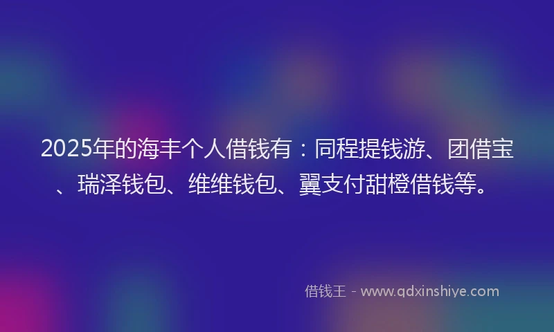 2025年的海丰个人借钱有：同程提钱游、团借宝、瑞泽钱包、维维钱包、翼支付甜橙借钱等。