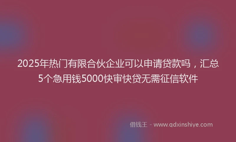 2025年热门有限合伙企业可以申请贷款吗，汇总5个急用钱5000快审快贷无需征信软件