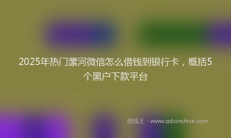 2025年热门漯河微信怎么借钱到银行卡，概括5个黑户下款平台