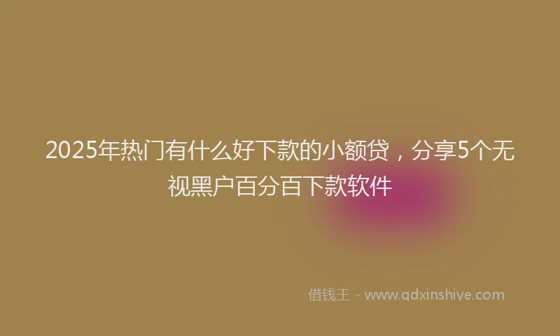 2025年热门有什么好下款的小额贷，分享5个无视黑户百分百下款软件