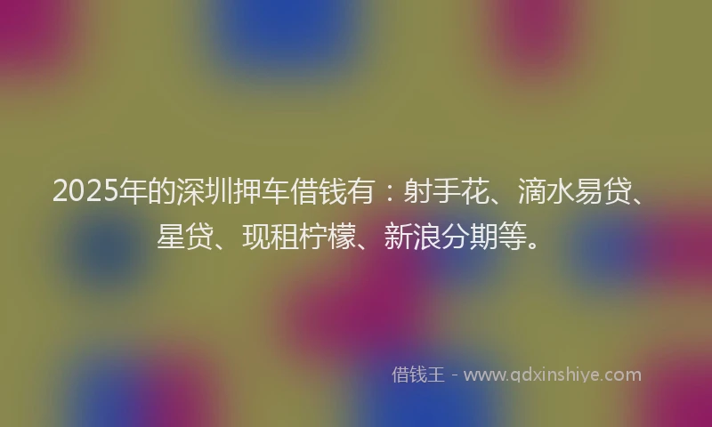 2025年的深圳押车借钱有:射手花、滴水易贷、星贷、现租柠檬、新浪分期等。