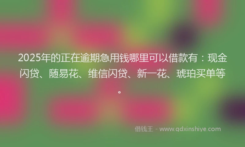2025年的正在逾期急用钱哪里可以借款有：现金闪贷、随易花、维信闪贷、新一花、琥珀买单等。