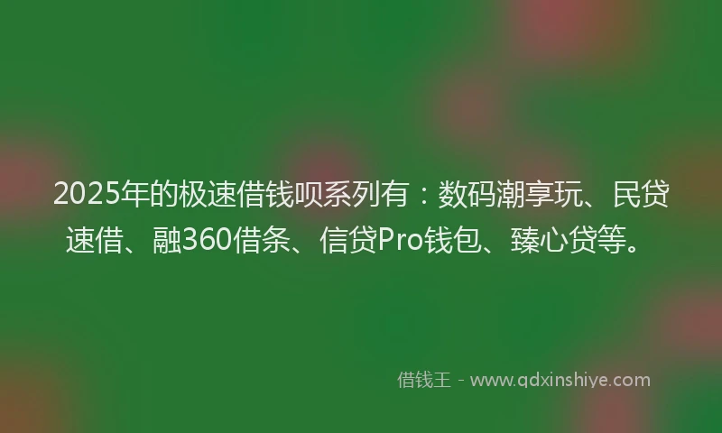 2025年的极速借钱呗系列有：数码潮享玩、民贷速借、融360借条、信贷Pro钱包、臻心贷等。