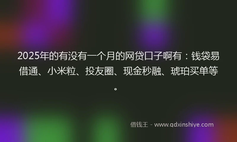 2025年的有没有一个月的网贷口子啊有：钱袋易借通、小米粒、投友圈、现金秒融、琥珀买单等。