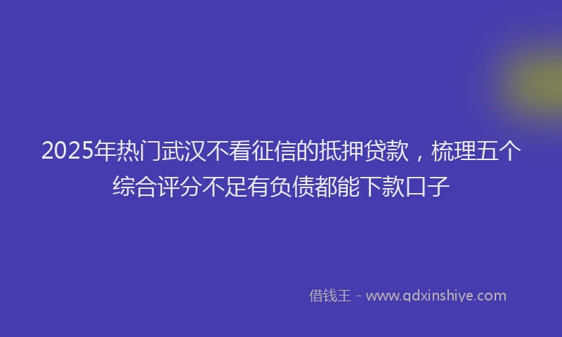 2025年热门武汉不看征信的抵押贷款，梳理五个综合评分不足有负债都能下款口子