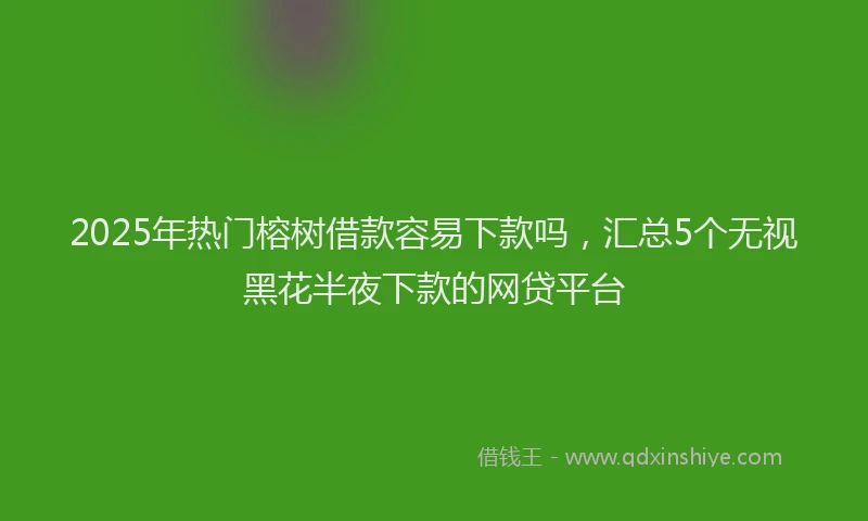 2025年热门榕树借款容易下款吗，汇总5个无视黑花半夜下款的网贷平台