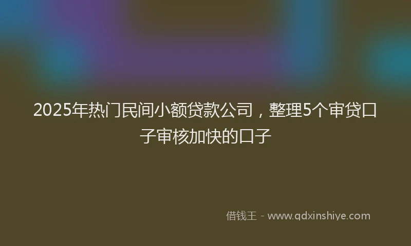 2025年热门民间小额贷款公司，整理5个审贷口子审核加快的口子
