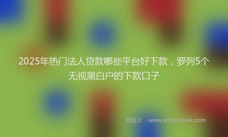 2025年热门法人贷款哪些平台好下款,罗列5个无视黑白户的下款口子