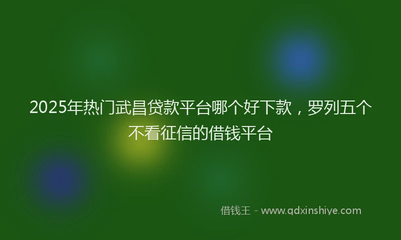 2025年热门武昌贷款平台哪个好下款，罗列五个不看征信的借钱平台