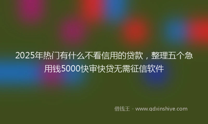 2025年热门有什么不看信用的贷款，整理五个急用钱5000快审快贷无需征信软件