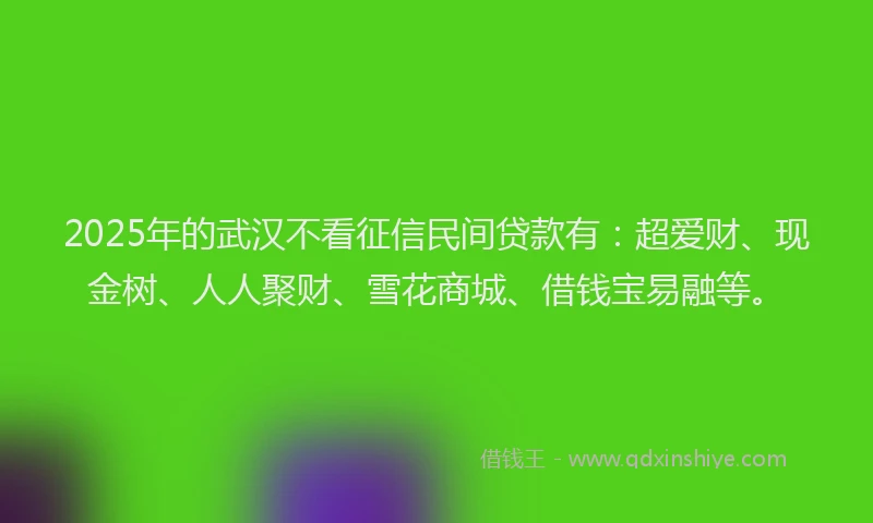 2025年的武汉不看征信民间贷款有：超爱财、现金树、人人聚财、雪花商城、借钱宝易融等。