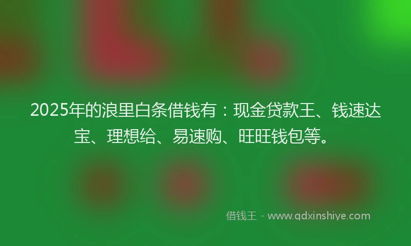 2025年的浪里白条借钱有：现金贷款王、钱速达宝、理想给、易速购、旺旺钱包等。