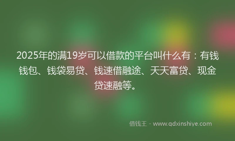 2025年的满19岁可以借款的平台叫什么有：有钱钱包、钱袋易贷、钱速借融途、天天富贷、现金贷速融等。