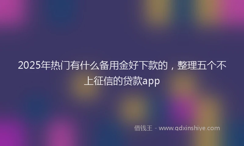 2025年热门有什么备用金好下款的,整理五个不上征信的贷款app