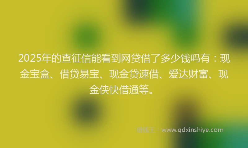 2025年的查征信能看到网贷借了多少钱吗有：现金宝盒、借贷易宝、现金贷速借、爱达财富、现金侠快借通等。