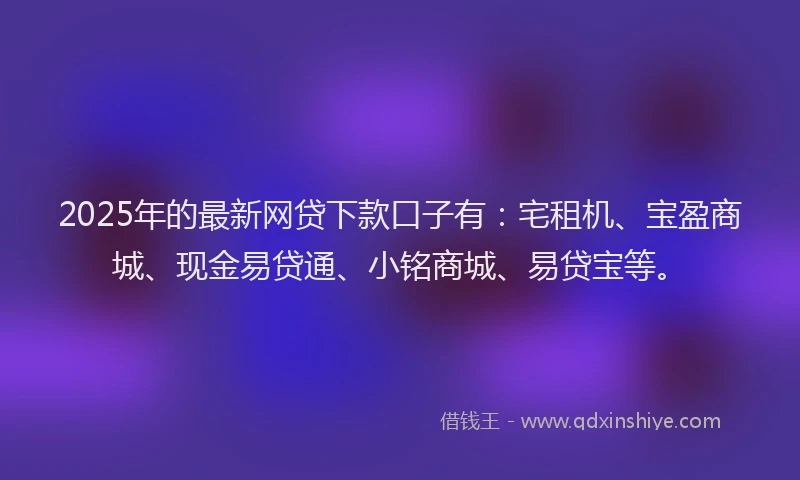 2025年的最新网贷下款口子有：宅租机、宝盈商城、现金易贷通、小铭商城、易贷宝等。