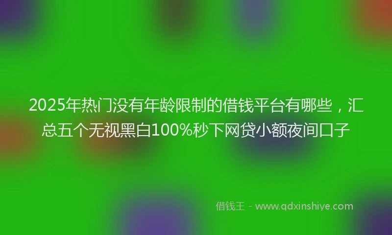 2025年热门没有年龄限制的借钱平台有哪些，汇总五个无视黑白100%秒下网贷小额夜间口子
